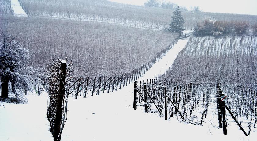 Cascina Arcangelo Raffaele Verduno Exterior foto