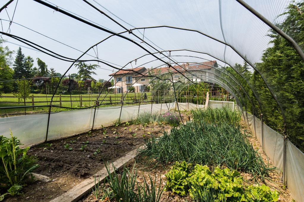 Cascina Arcangelo Raffaele Verduno Exterior foto